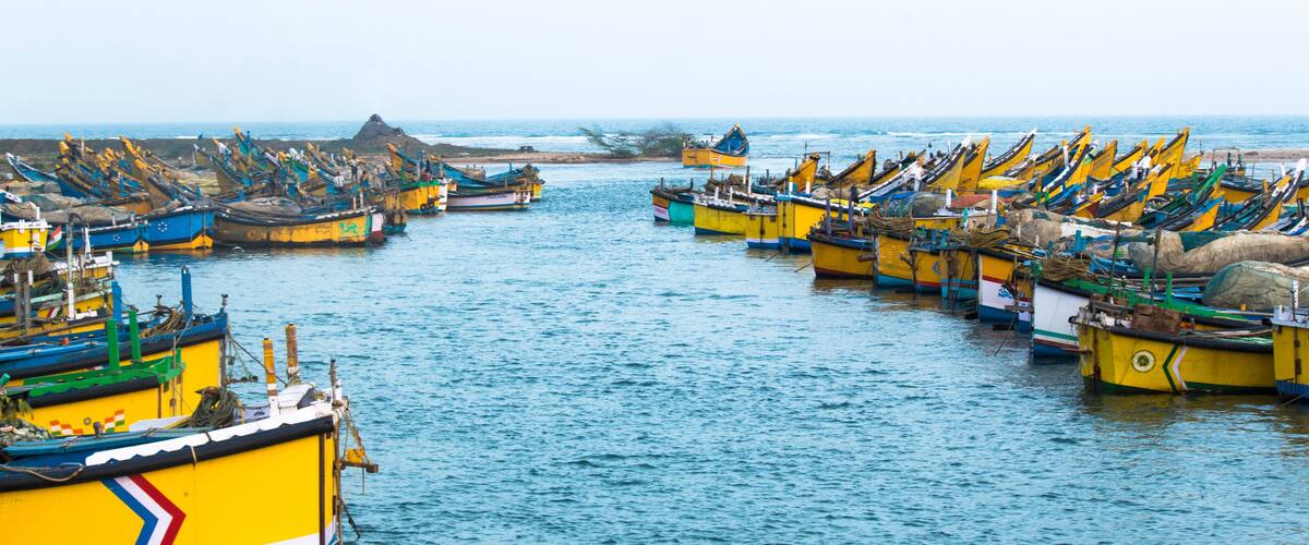 A harbor filled with colorful fishing boats.