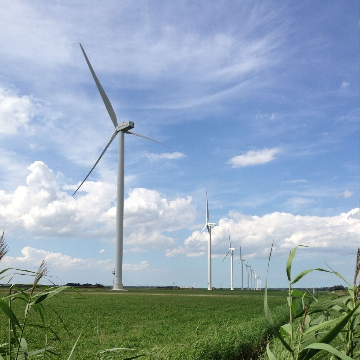 Windmill (v)alley. Wonder why they must be placed in a fairly straight line.