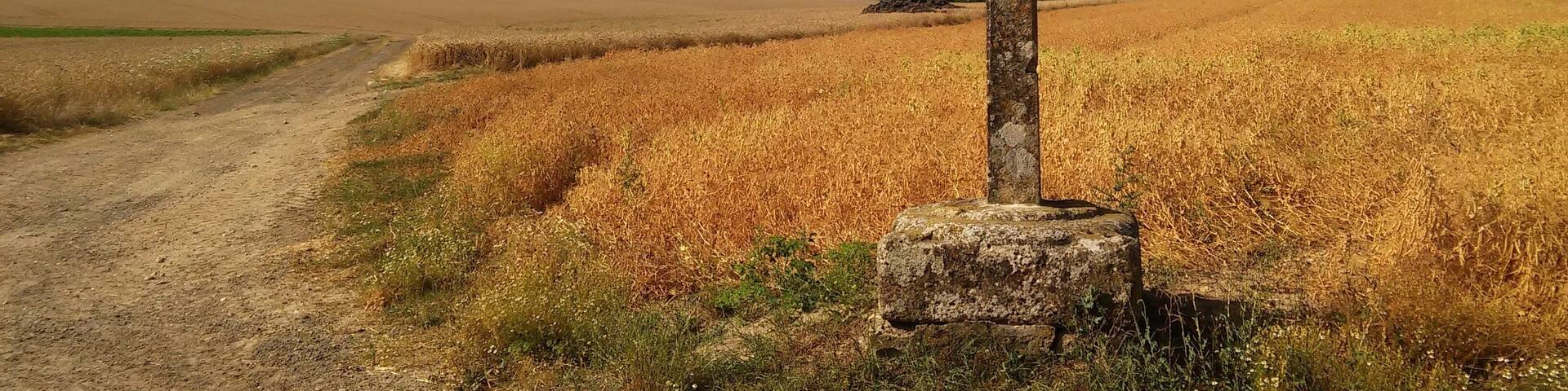 Vexin français natural regional park
