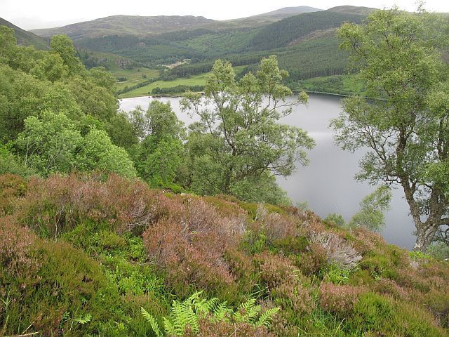A lake surrounded by hills and dense trees.