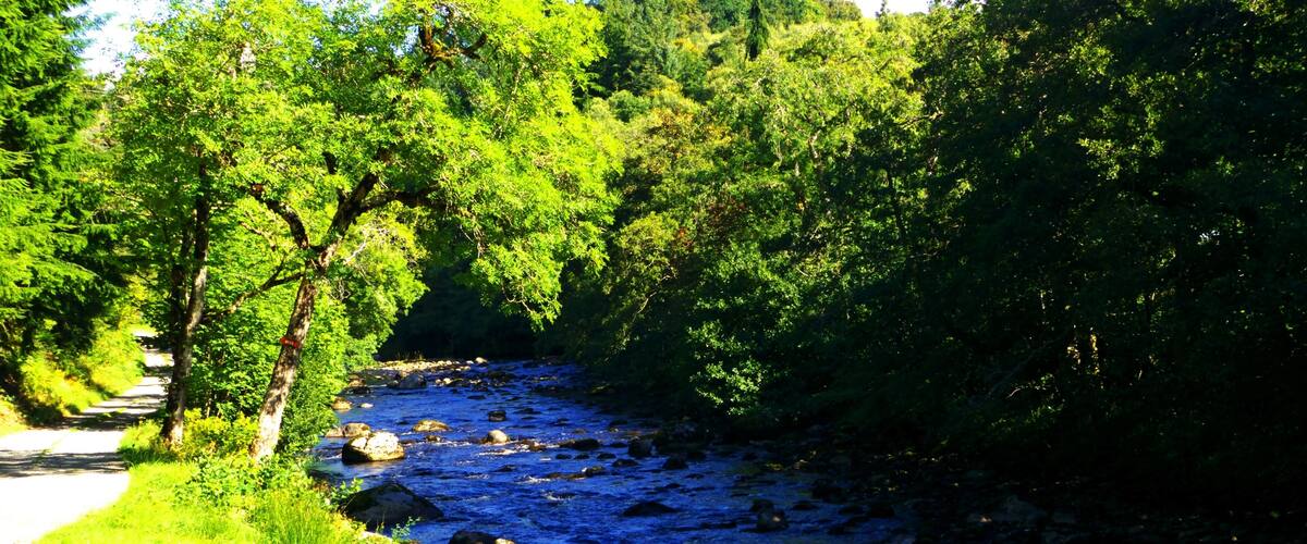 A river with rocks and a person fishing.