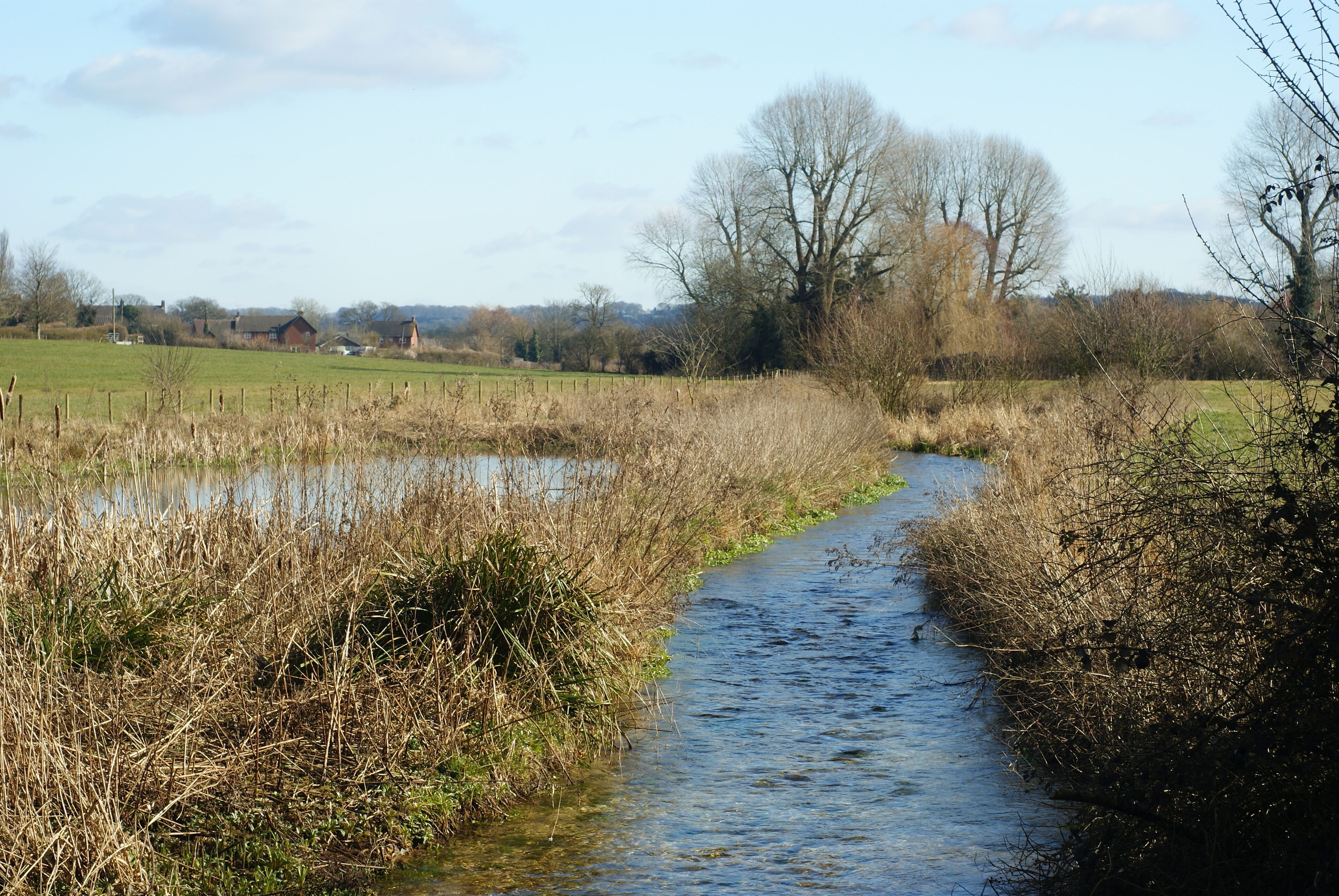 River Alre, Bishop's Sutton, Hampshire View from the Church Lane bridge. The area to the left of the river was formerly watercress beds.