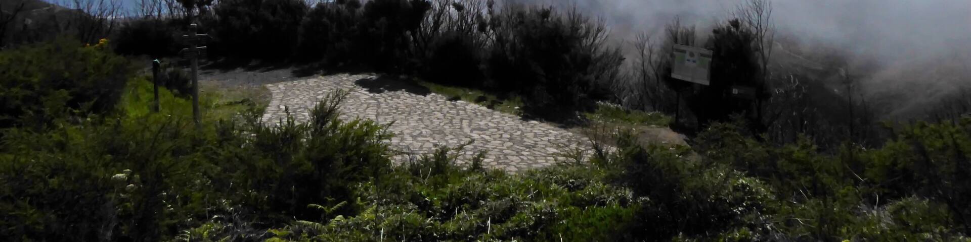Biosphere Reserve La Gomera, on top of Alto de Garajonay view to La Fortaleza (both mountains belong to the core area)