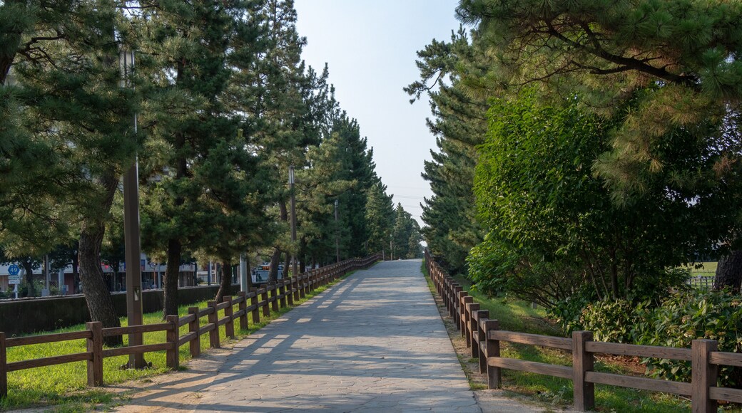 Soka Matsubara Promenade, Soka city, Saitama, Japan