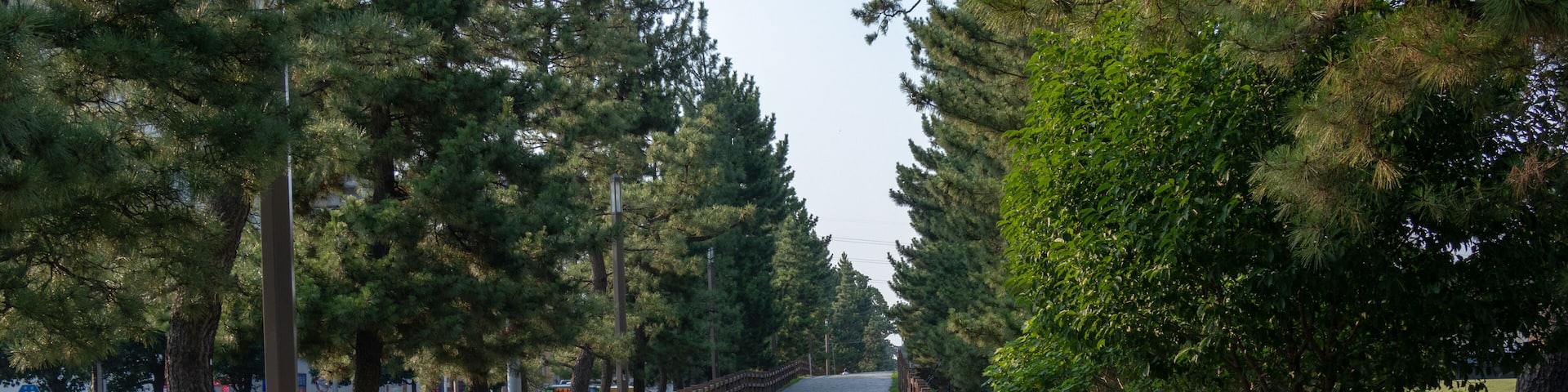 Soka Matsubara Promenade, Soka city, Saitama, Japan