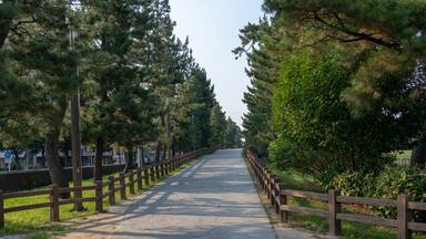 Soka Matsubara Promenade, Soka city, Saitama, Japan