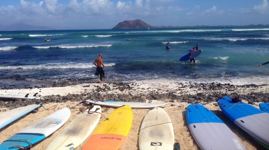 Punta Elena at Rocky Point is a great surf spot in Corralejo, Canary Islands! Isla Los Lobos in the background. 🏝 #worldtravellikealical