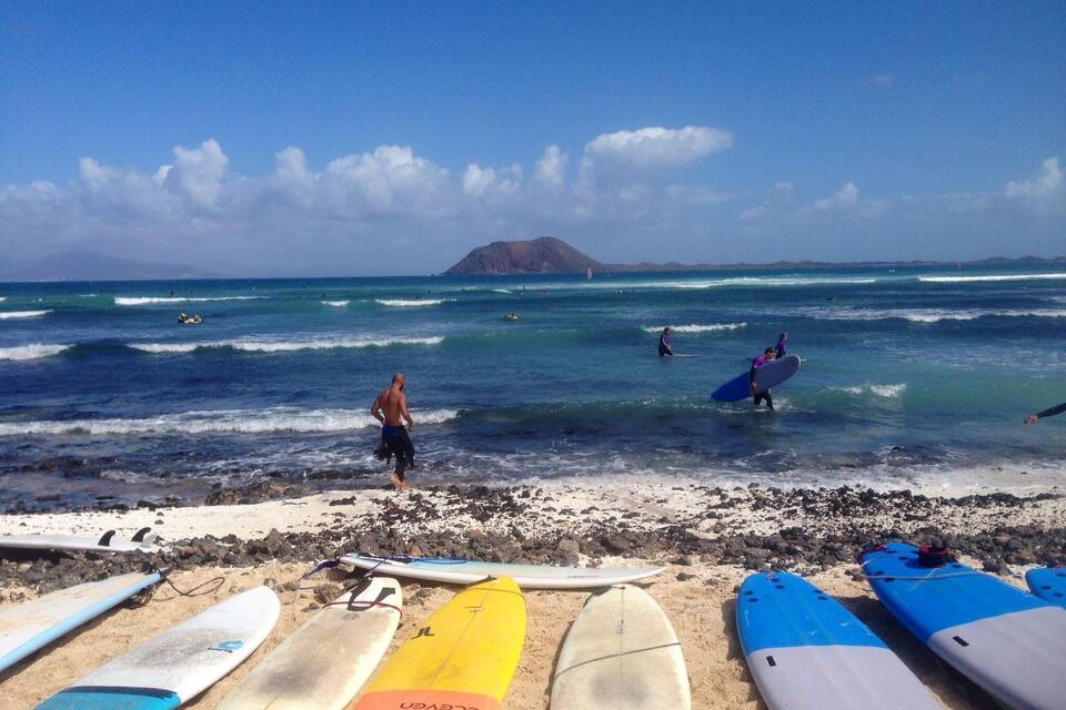 A beach with surfboards lined up and people surfing in the background.