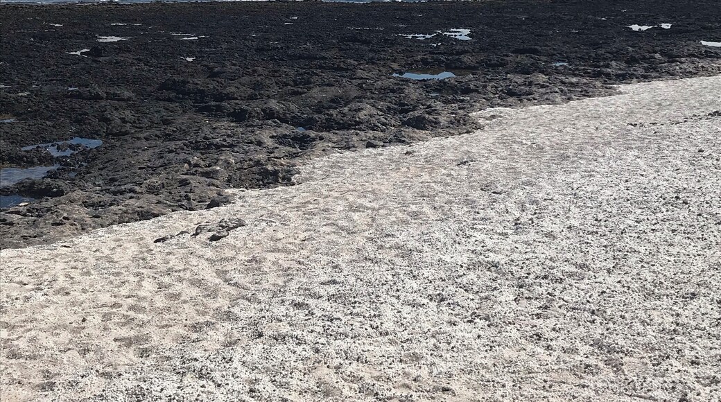 This amazing beach has lots of skeletal calcium carbonate remains of Rhodoliths which is the white ‘stone’. It gives the appearance of popcorn which also gives the beach its name. The island in the distance is Lanzarote.