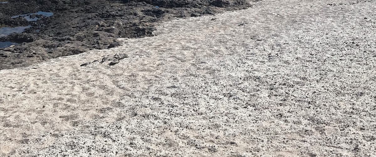 This amazing beach has lots of skeletal calcium carbonate remains of Rhodoliths which is the white ‘stone’. It gives the appearance of popcorn which also gives the beach its name. The island in the distance is Lanzarote.