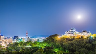 Wakayama City, Japan