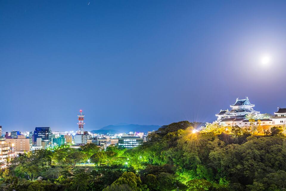 A cityscape at night with a prominent castle on a hill, illuminated buildings, and a clear sky.