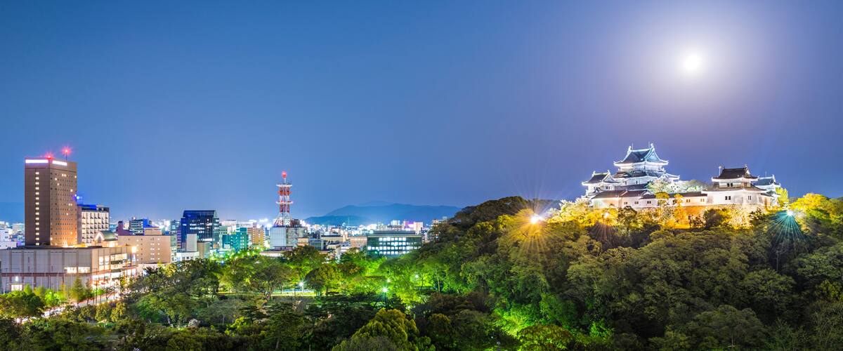 A cityscape at night with a prominent castle on a hill, illuminated buildings, and a clear sky.