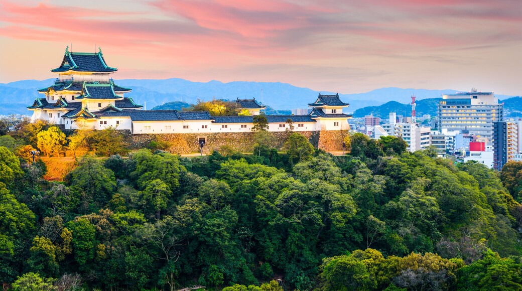 Wakayama