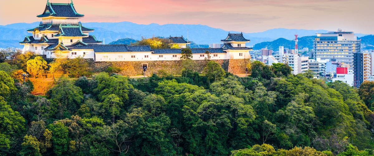 Wakayama, Japan skyline at the castle.