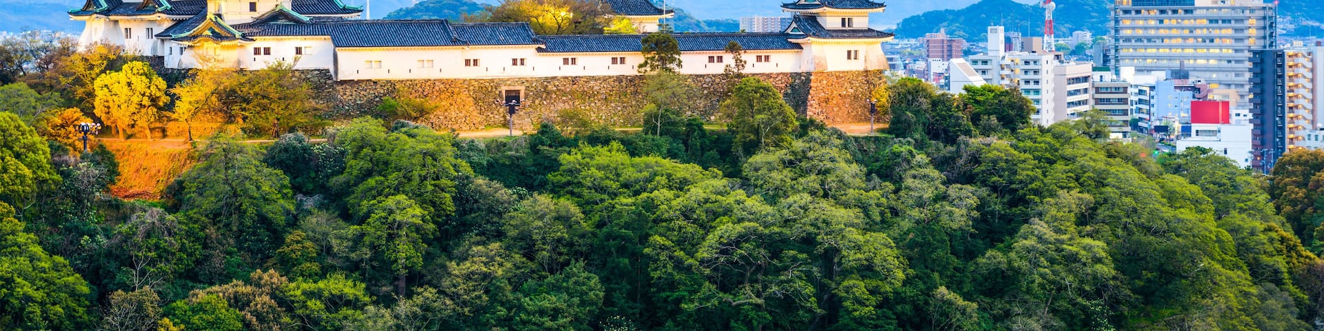 Wakayama, Japan skyline at the castle.