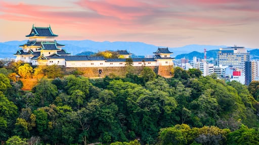 Wakayama