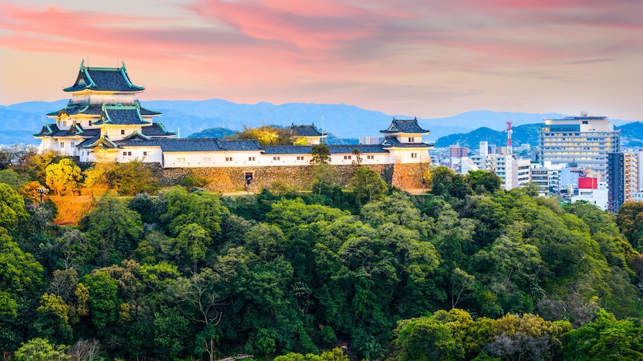 Wakayama, Japan skyline at the castle.