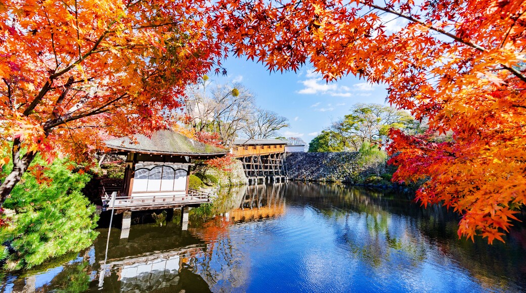 Wakayama castle in the autumn park, Japan autumn season, Wakayama.Japan; Shutterstock ID 713479216; Purchase Order: -
