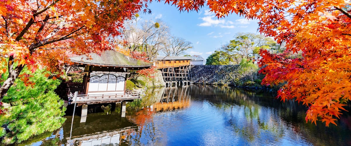 Wakayama castle in the autumn park, Japan autumn season, Wakayama.Japan; Shutterstock ID 713479216; Purchase Order: -