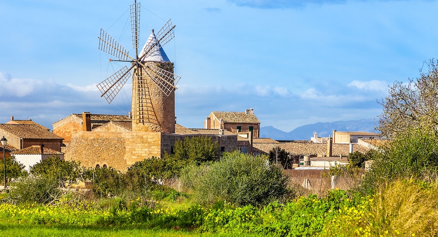 Windmill in Algadia Mallorca Spain