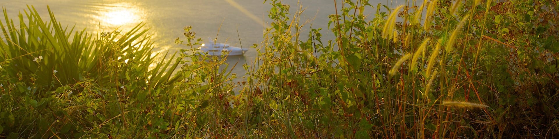 Promthep Cape which includes tropical scenes, a sunset and general coastal views