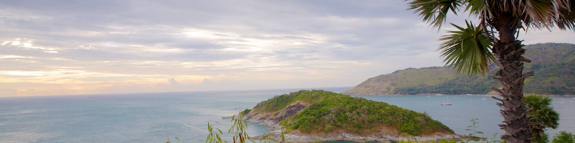 A coastal landscape with a small island, clear blue sea, and a palm tree.