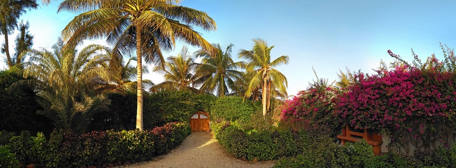 Beautiful garden with door to the beach in Sali, Mbour City, Senegal, Africa
