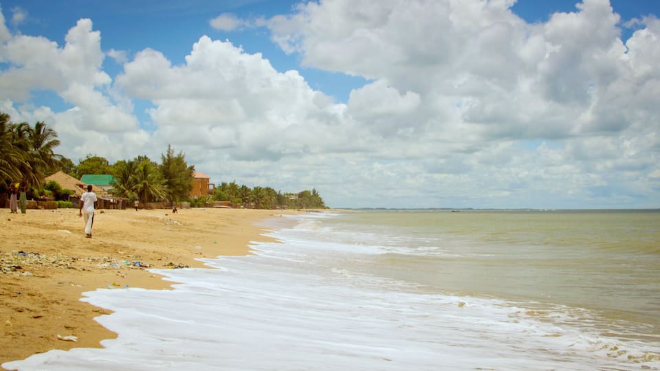 A sandy beach with palm trees and a building in the background.