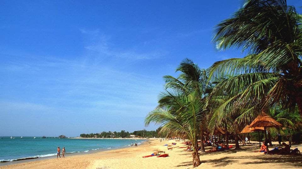 A beach with palm trees, a sandy shore, and the ocean.