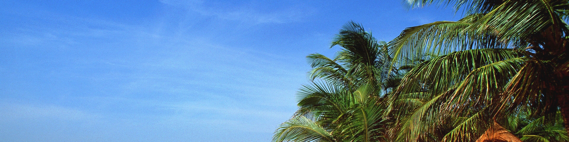 Senegal La Petite Cote Saly Portudal