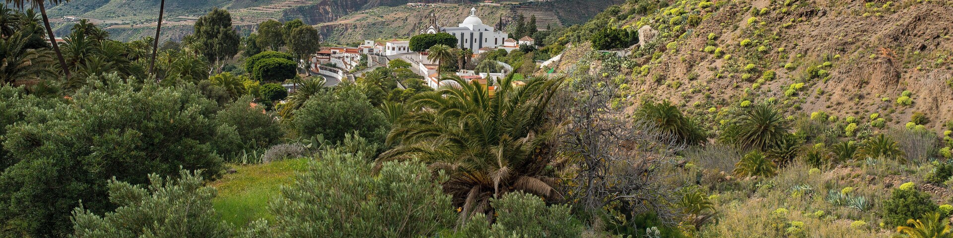 Santa Lucia Gran Canaria 2016-7152