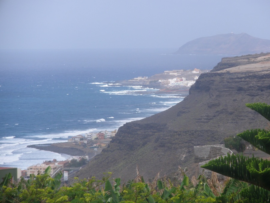 Costa brumosa