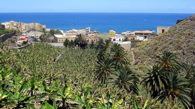 Un pueblo costero con edificios, palmeras y el océano.