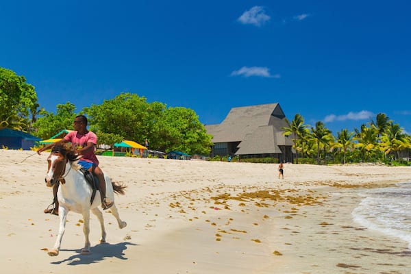 A beach with a horse rider, palm trees, and a building with a thatched roof.