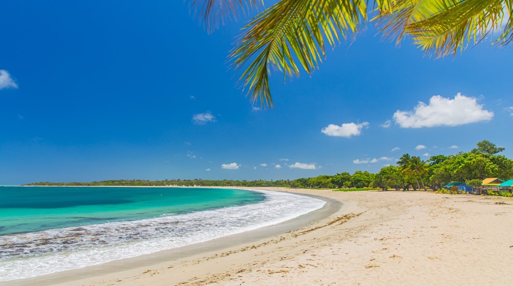 Natadola Beach showing general coastal views, a beach and tropical scenes