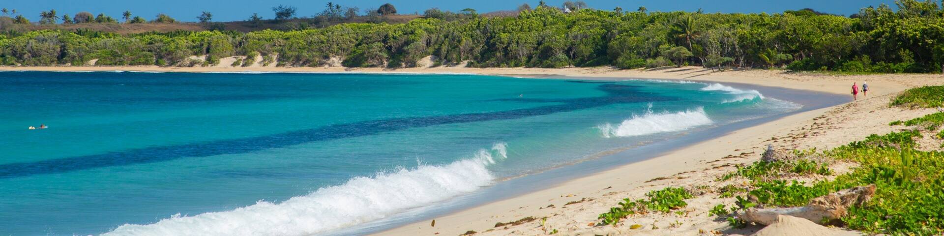 A beach with clear turquoise water, sandy shore, and green vegetation.