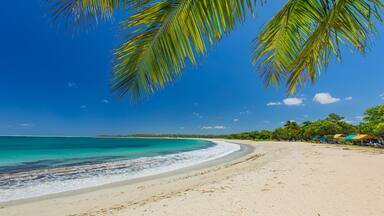 Natadola Beach which includes a sandy beach, general coastal views and tropical scenes