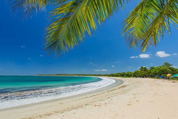 Une plage à l’eau turquoise, bordée de palmiers, sous un ciel bleu et dégagé.