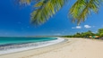 A beach with turquoise water, palm trees, and a clear blue sky.