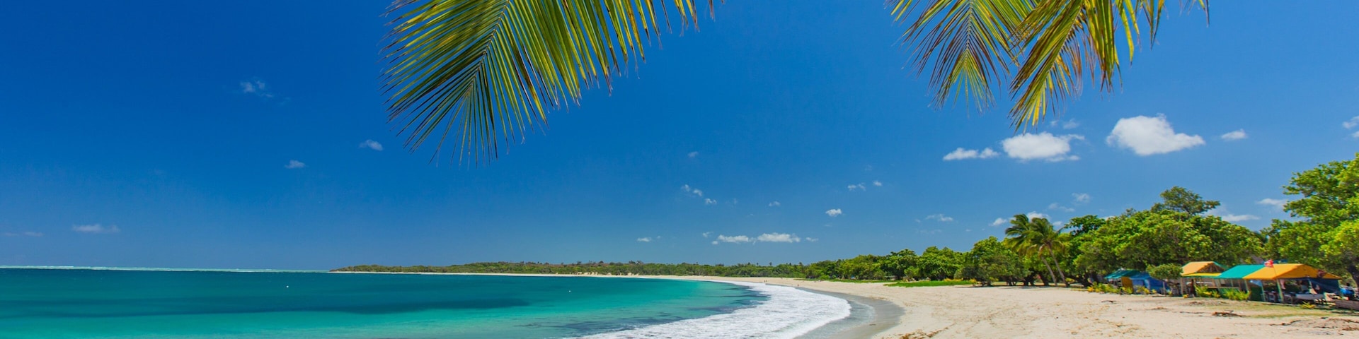 Natadola Beach which includes a sandy beach, general coastal views and tropical scenes