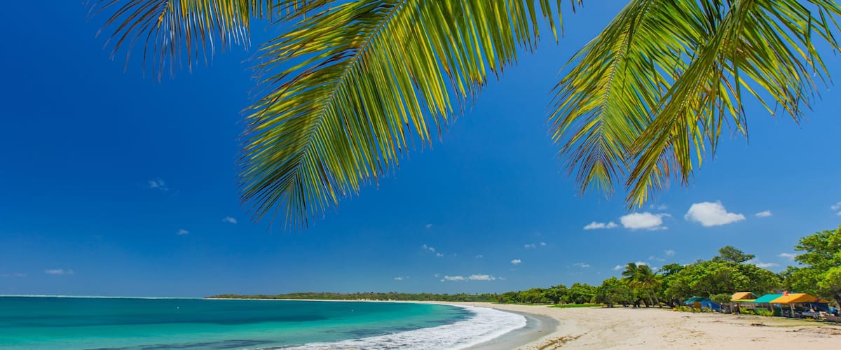 A beach with turquoise water, palm trees, and a clear blue sky.
