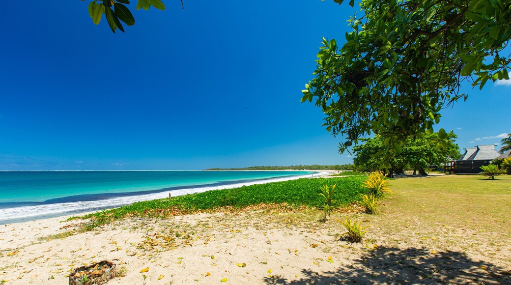 Natadola Beach which includes a sandy beach, general coastal views and tropical scenes