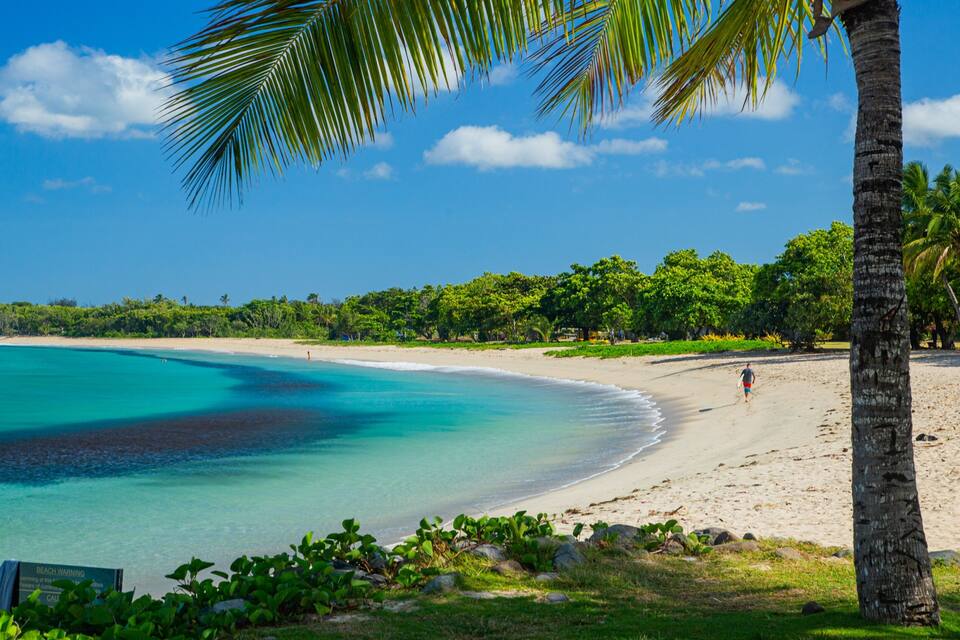 Una playa tropical con aguas turquesas cristalinas, una orilla arenosa y abundante vegetación.