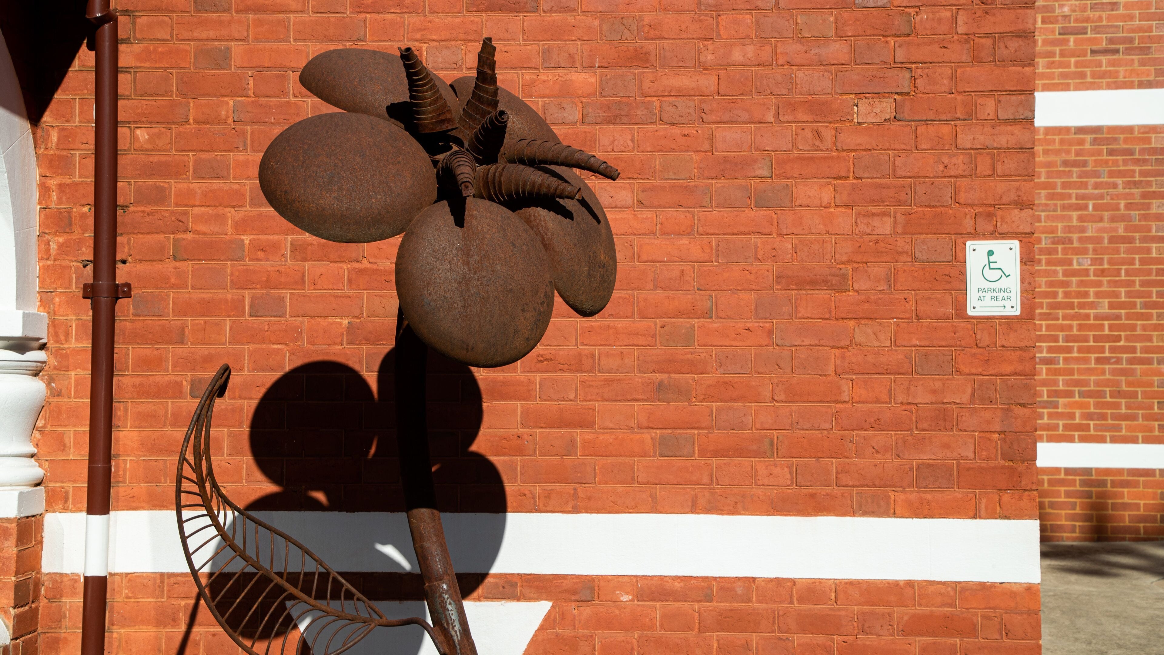 Wangaratta Art Gallery showing outdoor art