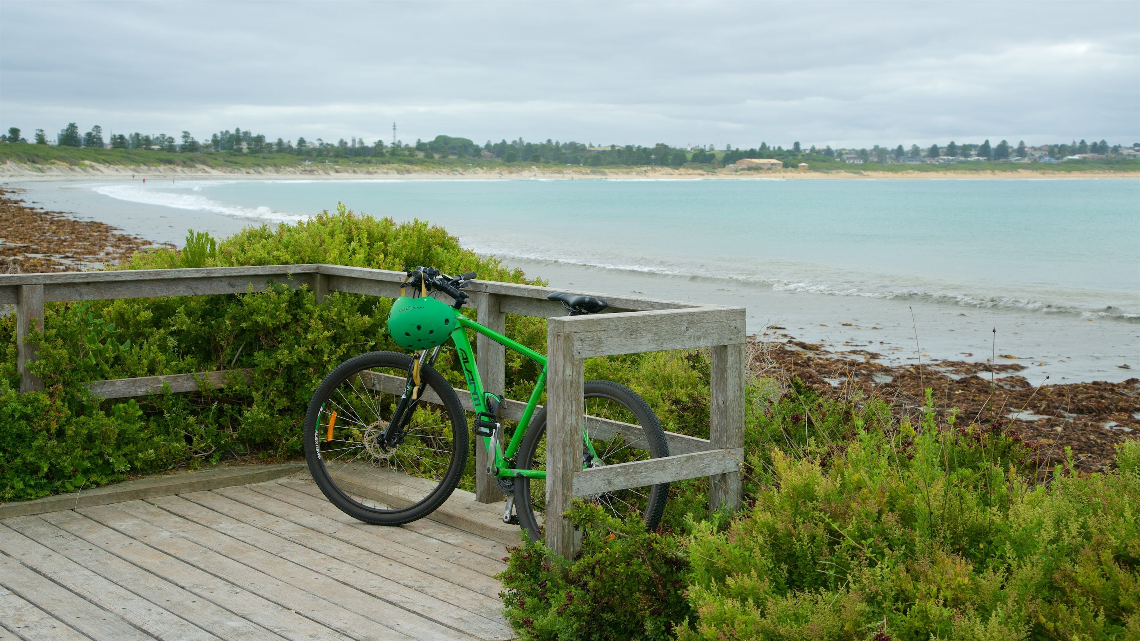 Plage de Warrnambool montrant baie ou port, plage et vélo