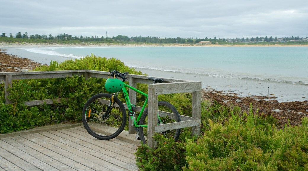Plage de Warrnambool montrant baie ou port, plage et vélo