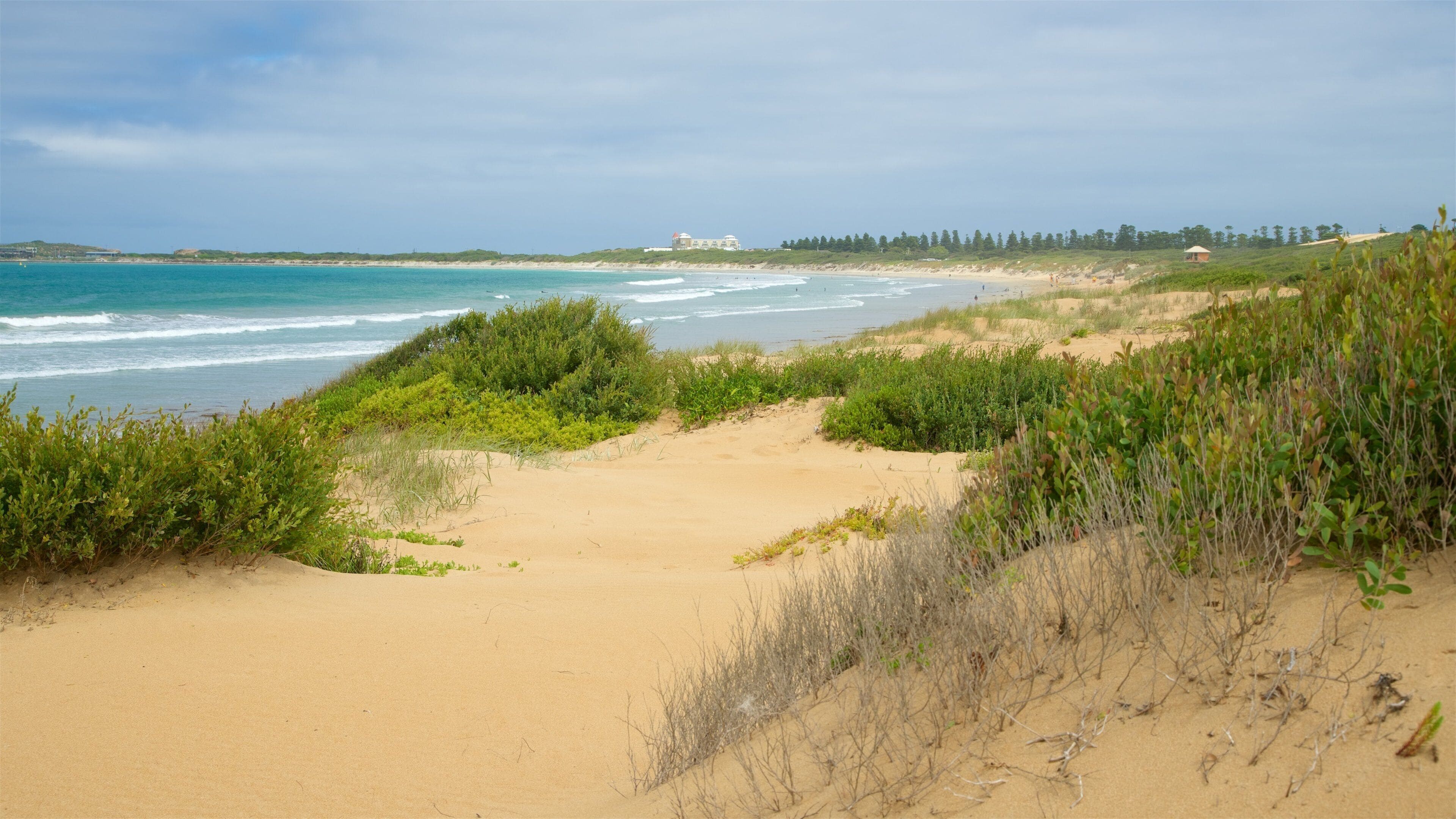 Warrnambool Beach showing a sandy beach, waves and a bay or harbour