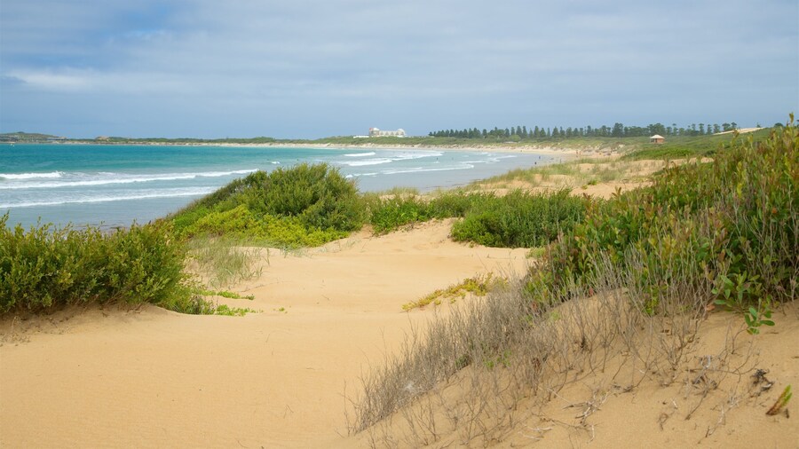 Plage de Warrnambool qui includes surf, plage et baie ou port