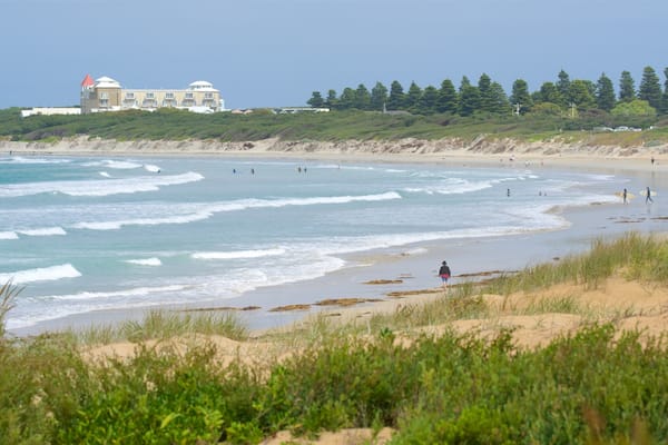 Une plage avec des vagues, un bâtiment et des arbres.